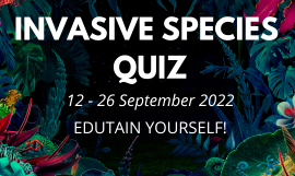 Invasive Species Quiz 