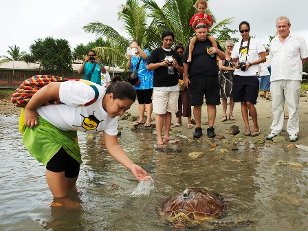 Turtle release 2 copy