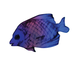 blue-fish