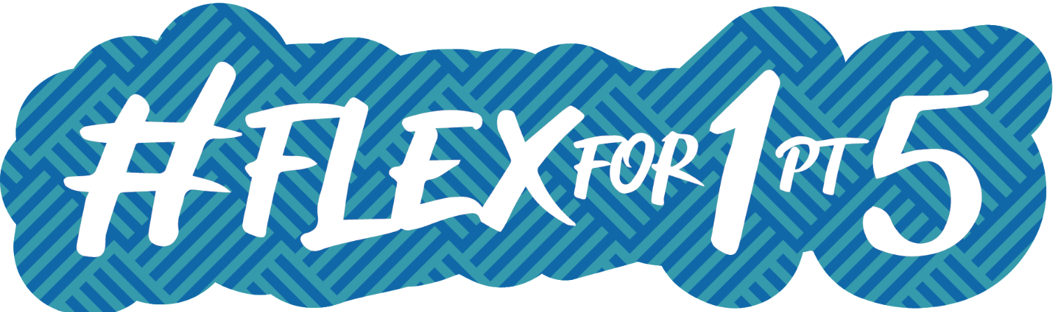 FlexFor1.5 Title