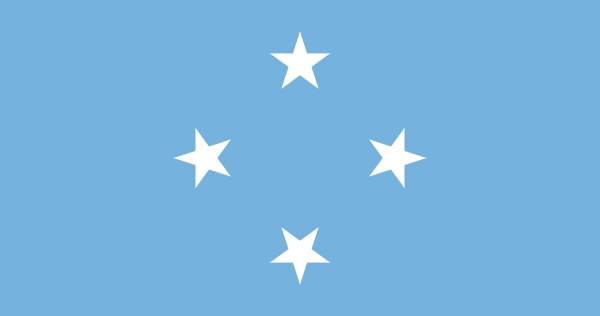 FSM flag