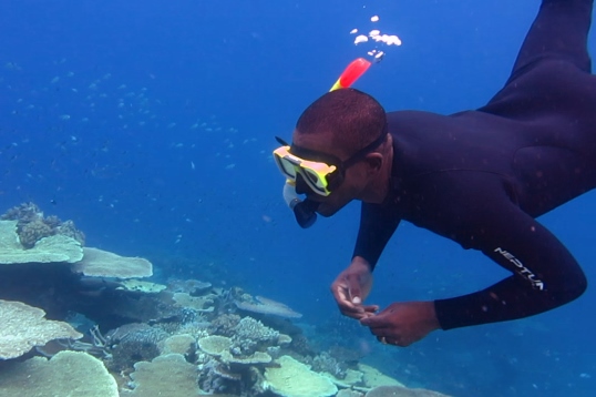 AA-fellows-snorkelling-on-the-GBR 1