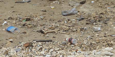 Beach waste