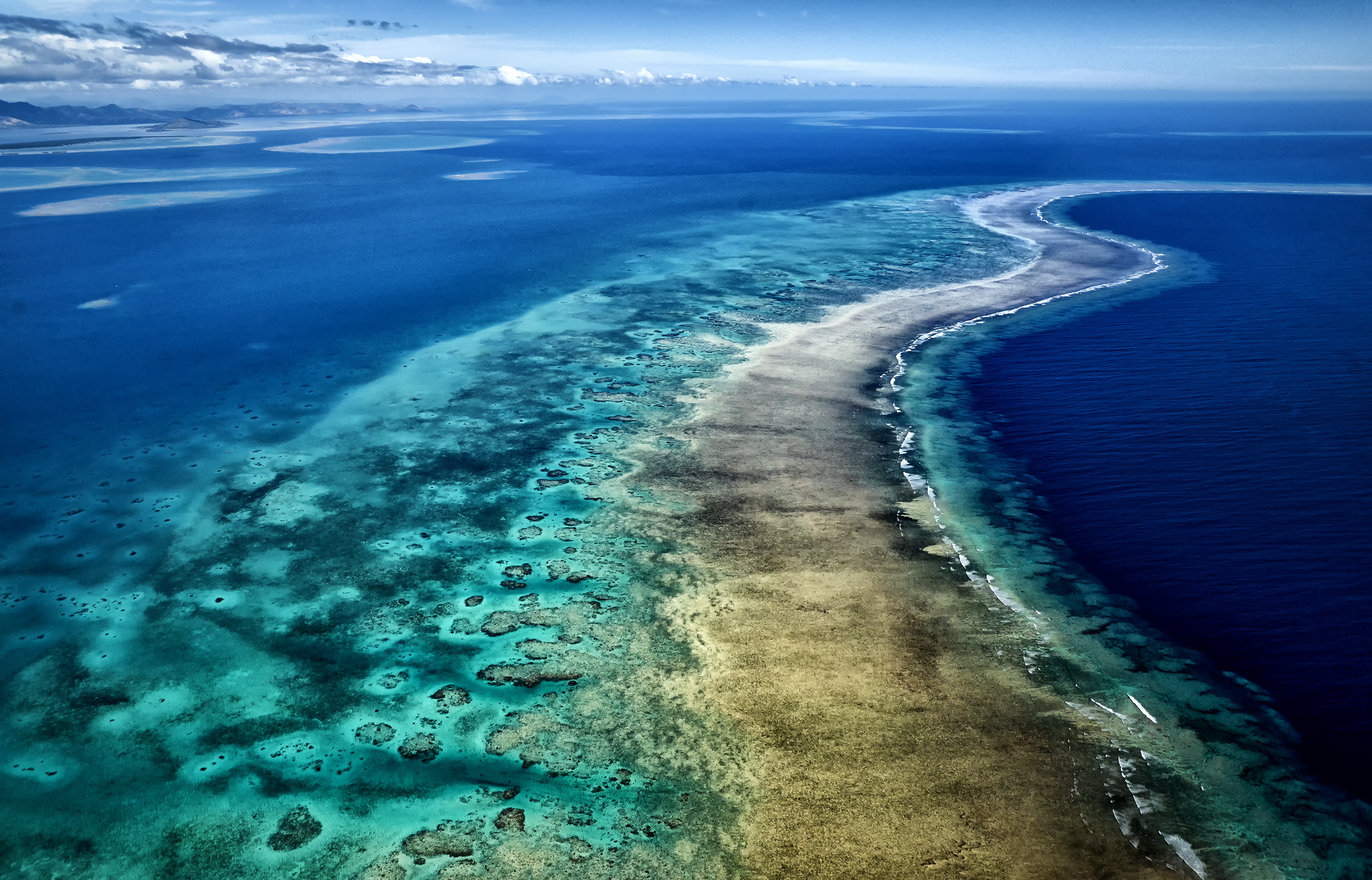Cakaulevu reef Fiji  Stuart Chape copy