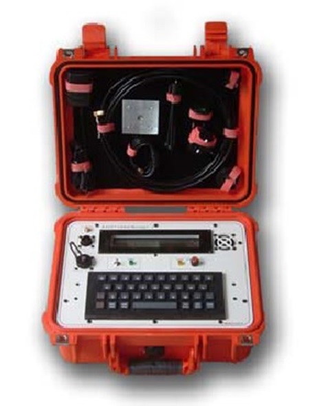 Chatty beetles PC Young