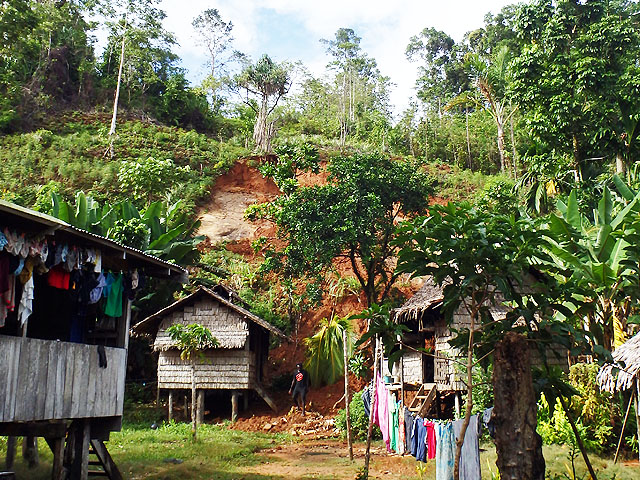 Choiseul-landslip