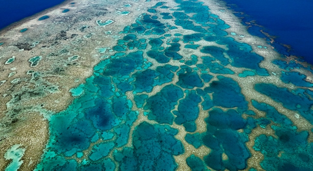 Coral reef lagoon 1 Vanua Levu Fiji  Stuart Chape CBD