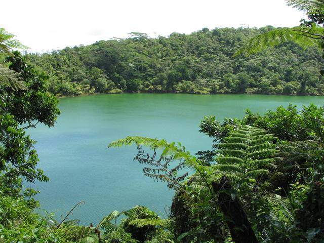 Lake Lanotoo Lew Young