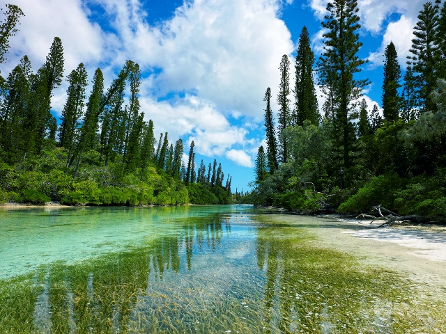 Landscape 1 Isle of Pines New Caledonia