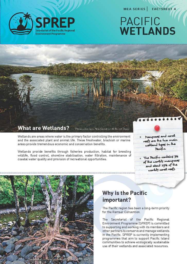 MEAFactsheet4_wetlands