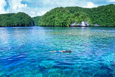 Marine Protected Area Chelbacheb Palau Stuart Chape