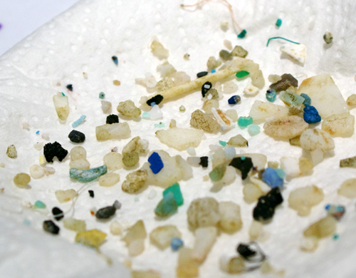Micro Plastics 3 smaller  CREDIT - Giora Proskurowski SEA