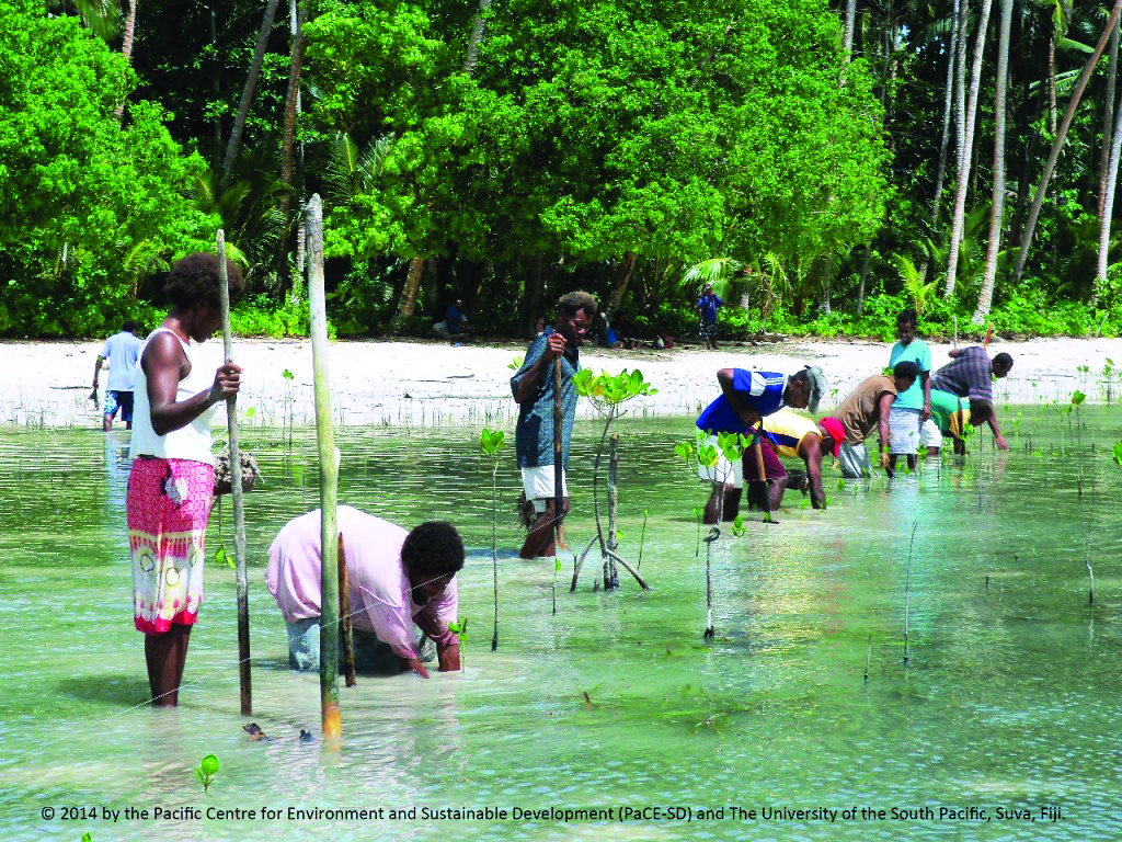 Photo for FRDP release - USP -  Ngwawa Village Solomon Islands
