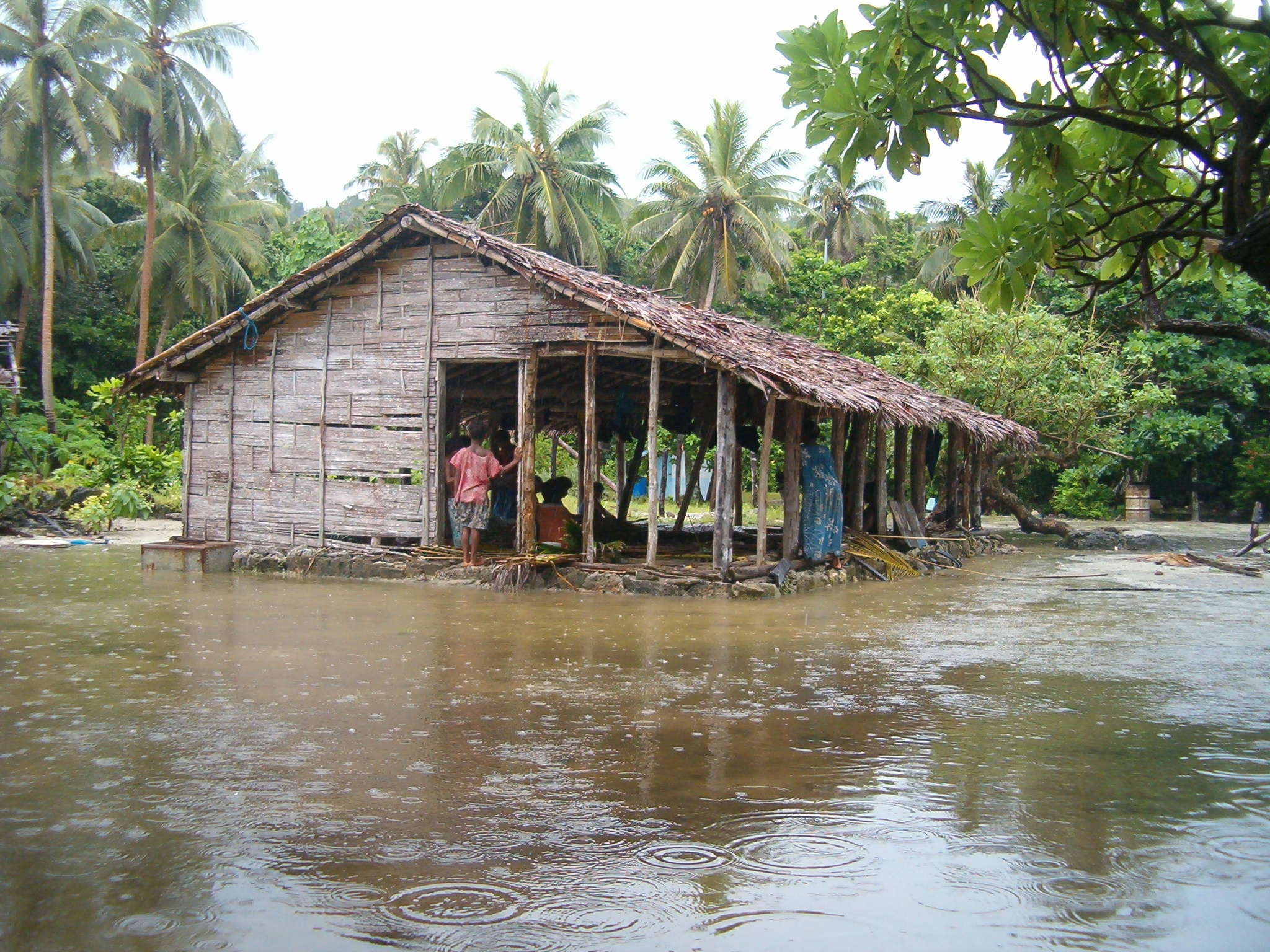 Tegua2007023