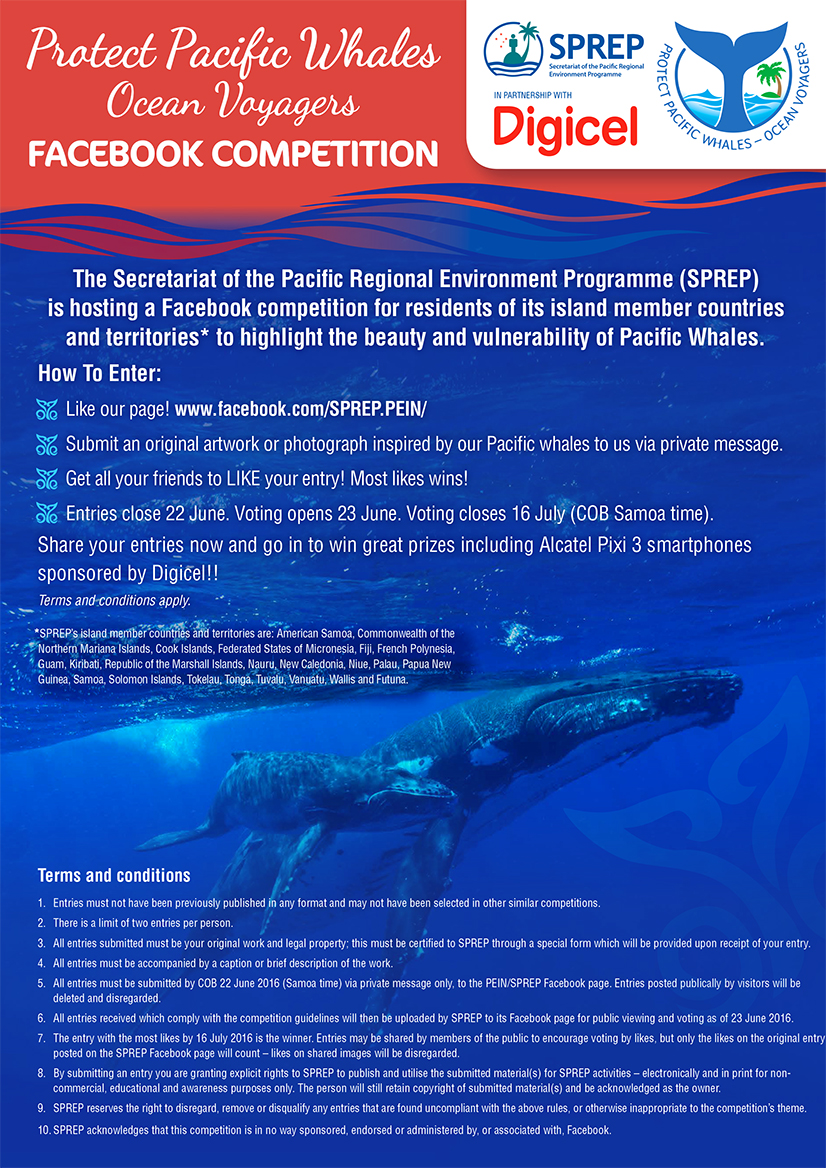 flyer-full-new2 copy