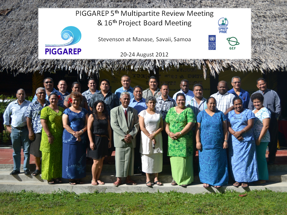 piggarepMPR group