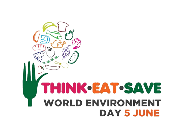 world-env-day-2013