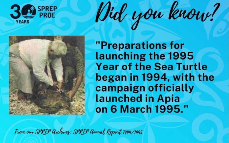 Did You Know - Year of the Sea turtle  1994