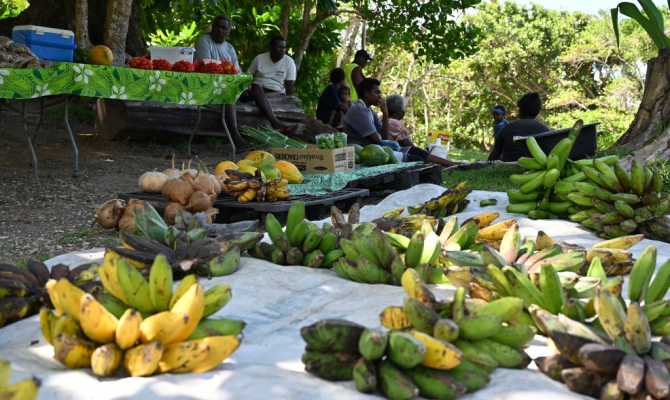 Around 40 officials from 14 Pacific Island countries complete intensive PICASO training in Fiji, sharpening the seasonal forecasts that farmers, water managers and disaster responders across the region depend on