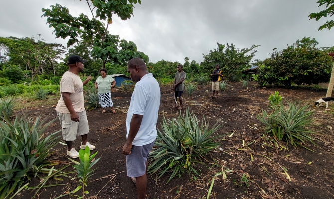 The work being done to restore the Honiara Botanical Garden.