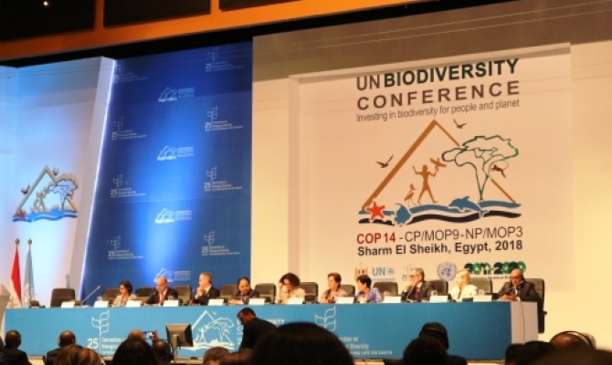 CBD COP14