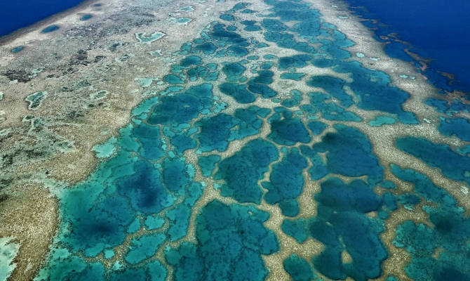 Coral reef, ocean acidification
