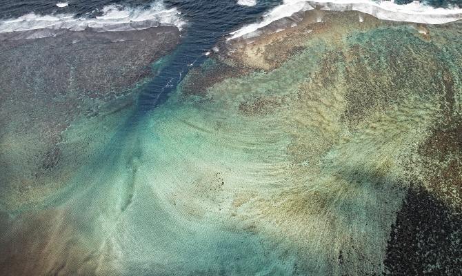 Coral Reef, Samoa_Stuart Chape