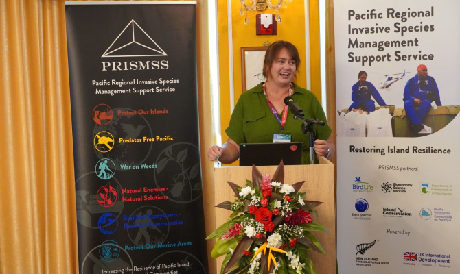 Protecting seas work in Palau 