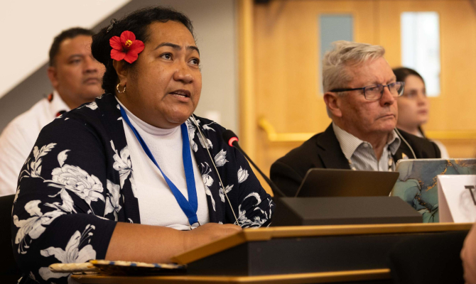 PSIDS chair at INC 5.2 plenary 3 