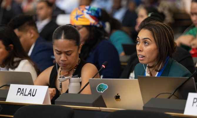 Ambassdor Seid at the stocktake plenary