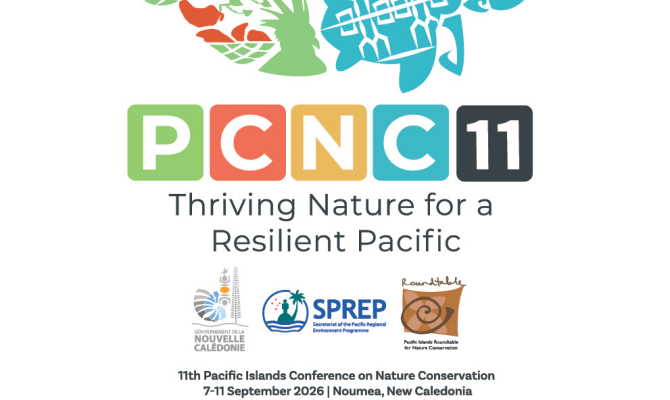 The PCNC 11 logo 