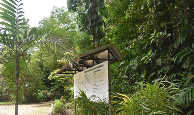 Honiara Botanical Gardens