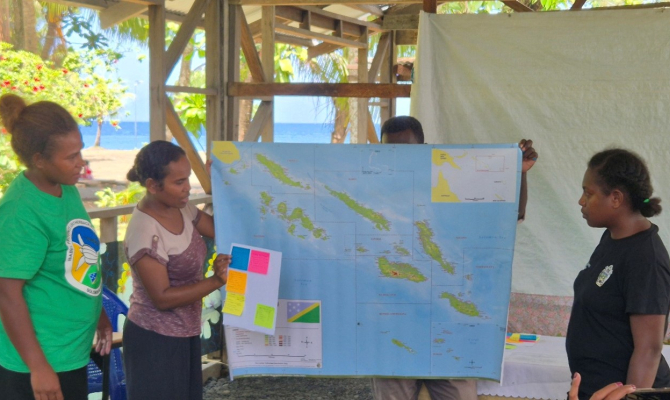 Pacific sea turtles Solomon Islands