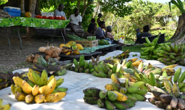 Around 40 officials from 14 Pacific Island countries complete intensive PICASO training in Fiji, sharpening the seasonal forecasts that farmers, water managers and disaster responders across the region depend on