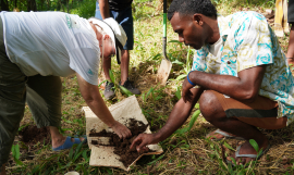 Vanua Levu Organic Farmers Share Solutions to Restore Soil Health