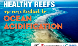 Ocean Acidification