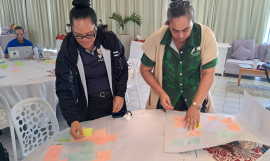 MSP indicators Cook Islands