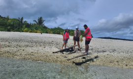 Walliis and Futuna Marine litter 