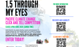 Flier