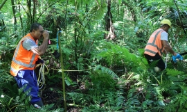 Forest survey of the Masamasa-Falelima Park