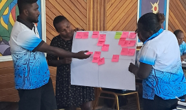 The Honiara workshop