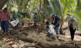 Wallis and Futuna clean up