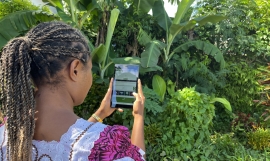 The Vanuatu Climate Watch App being used to make observations