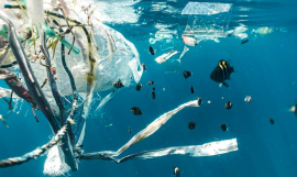 plastic waste-UNEP