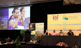 Ms Litia Naitanui, of Fiji addresses the Council.