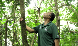 Eua National park 
