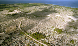 Nauru 