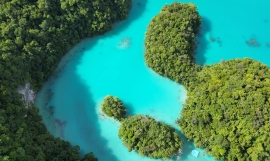The pristine natural environment of Palau