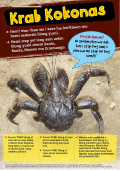 Crab_poster.pdf.jpeg