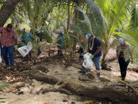 Wallis and Futuna clean up